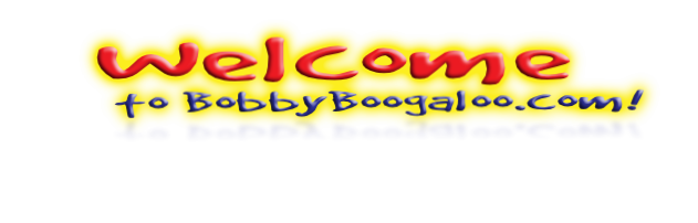 Welcome
       to BobbyBoogaloo.com!
